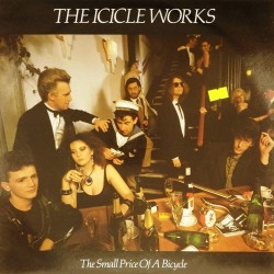 Пластинка Icicle Works The Small Price Of A Bicycle